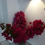 Hotel apartamentowy Despina's Mare 4*