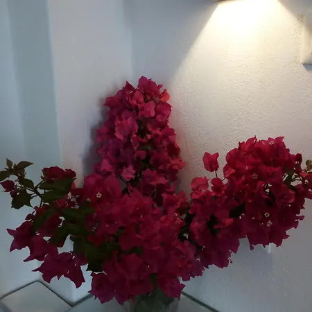 Ξενοδοχείο με διαμερίσματα Despina's Mare 4*