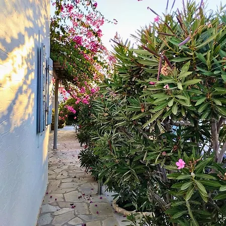 Despina's Mare Hotel apartamentowy 3*