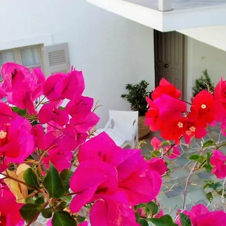 Despina's Mare 3* Naousa (Paros)