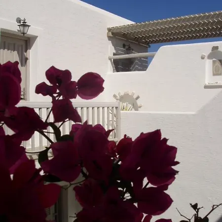Despina's Mare Aparthotel Naousa (Paros)