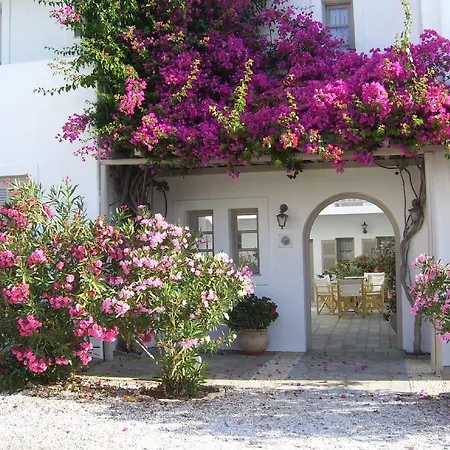 Aparthotel Despina's Mare Naousa (Paros)