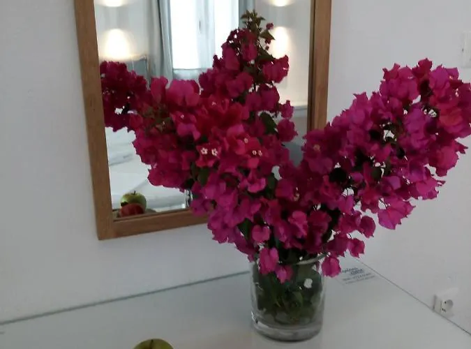 Despina's Mare 4* Náusza